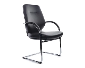 Кресло RV ДИЗАЙН Алонзо-СФ / Alonzo-CF (С1711) images