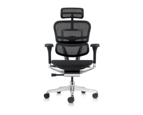 Кресло руководителя Ergohuman Elite 2 HAM Сетка, Черный images