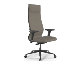 Кресло ErgoLife SynchroSit 10 B1-162D M23.B11.G19.W02 Ткань, Песочный images