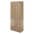 Дуб кофейный