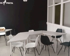 Стул SHT-ST29/S37 белый Пластик, Белый/Черный муар images