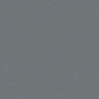 P2 EUROLINE 995 (базальтово-серый)